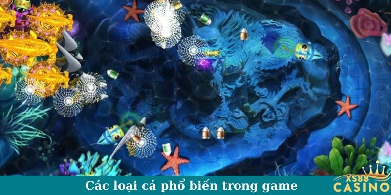 Các loại cá phổ biến trong game