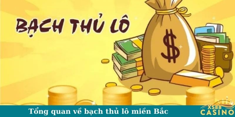 Tổng quan về bạch thủ lô miền Bắc