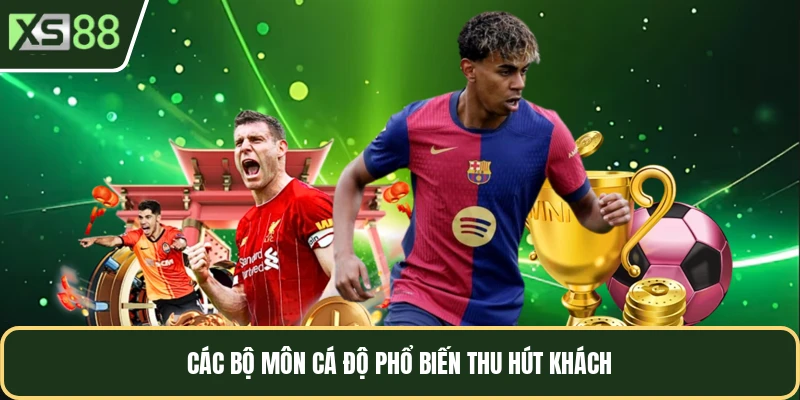 Các bộ môn cá độ phổ biến thu hút khách
